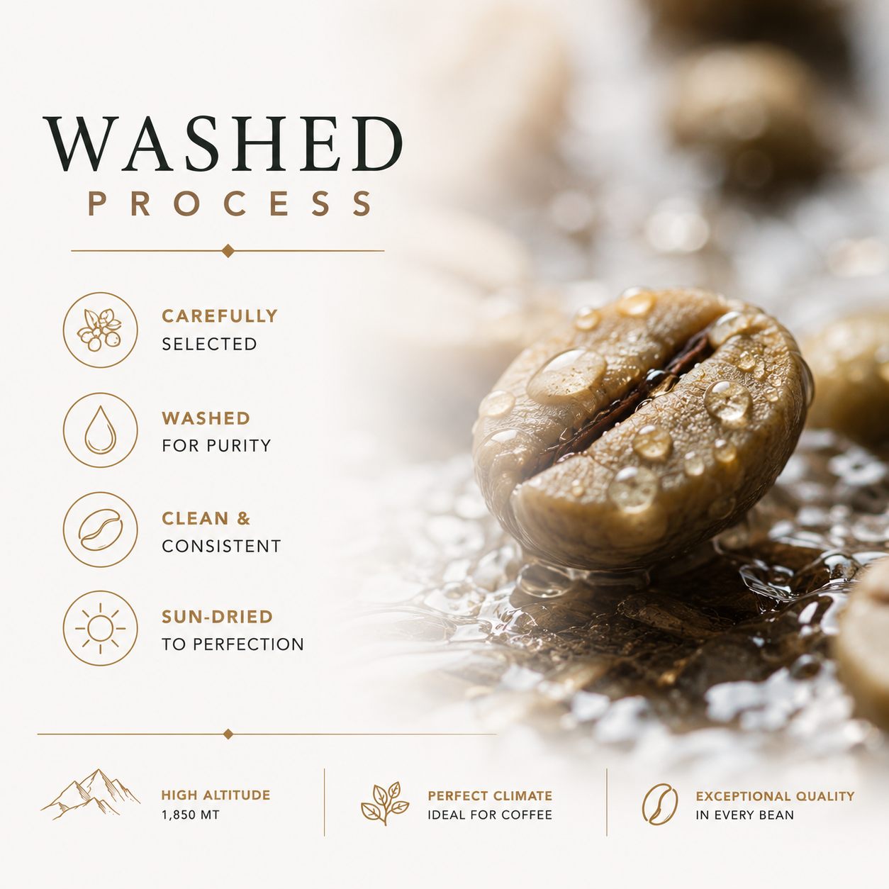 Gesha Washed | Single Origin Colombian Coffee | La Isla Farm