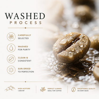 Gesha Washed | Single Origin Colombian Coffee | La Isla Farm
