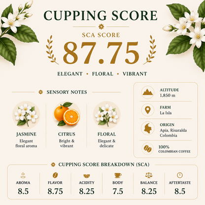 Gesha Washed | Single Origin Colombian Coffee | La Isla Farm