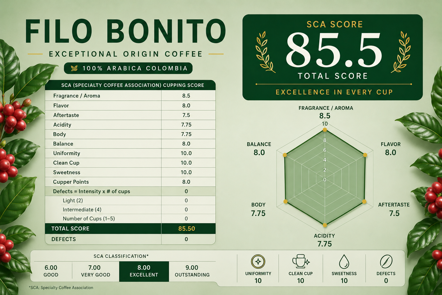 Castilla Naranjal | Filo Bonito Farm | Washed