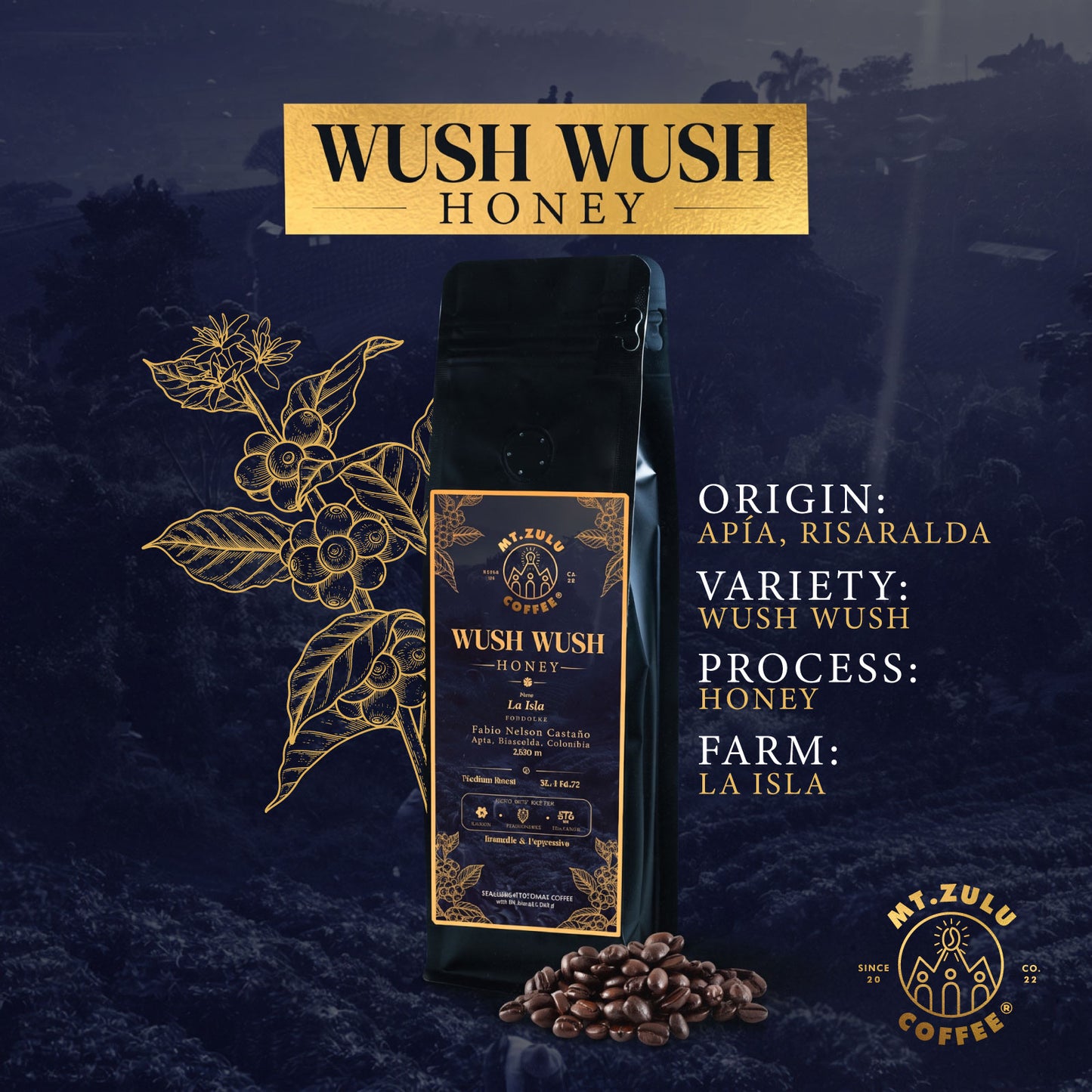 Wush Wush Honey | Rare Ethiopian Landrace | Colombian Specialty Coffee