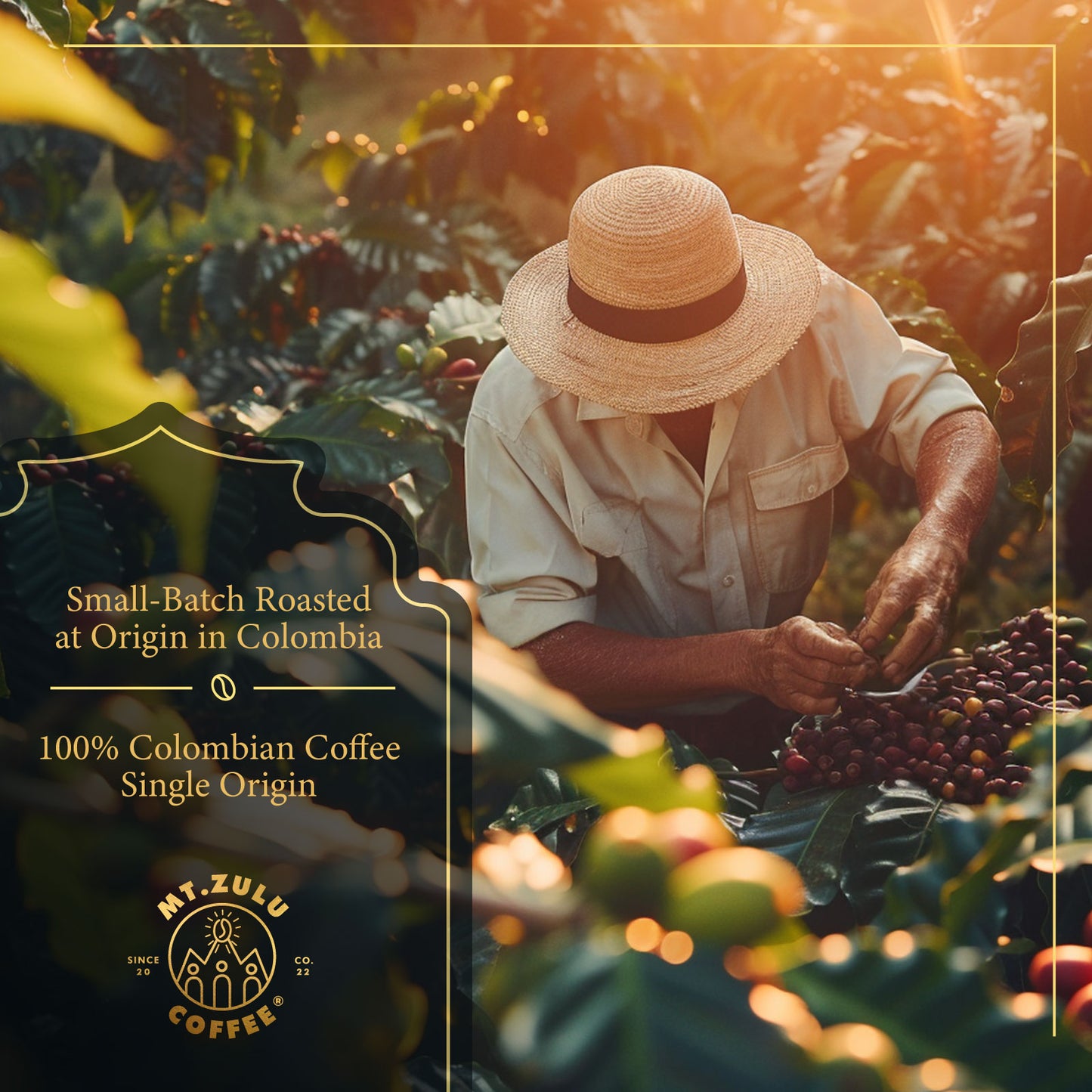 Don Camilo Peláez Legacy Coffee | Pink Bourbon | Washed