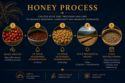 Wush Wush Honey | Rare Ethiopian Landrace | Colombian Specialty Coffee
