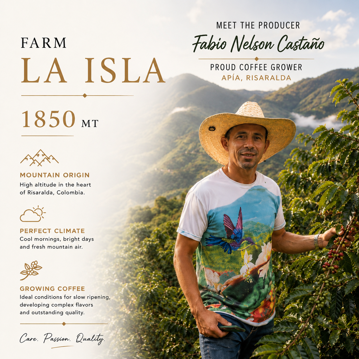 Gesha Washed | Single Origin Colombian Coffee | La Isla Farm