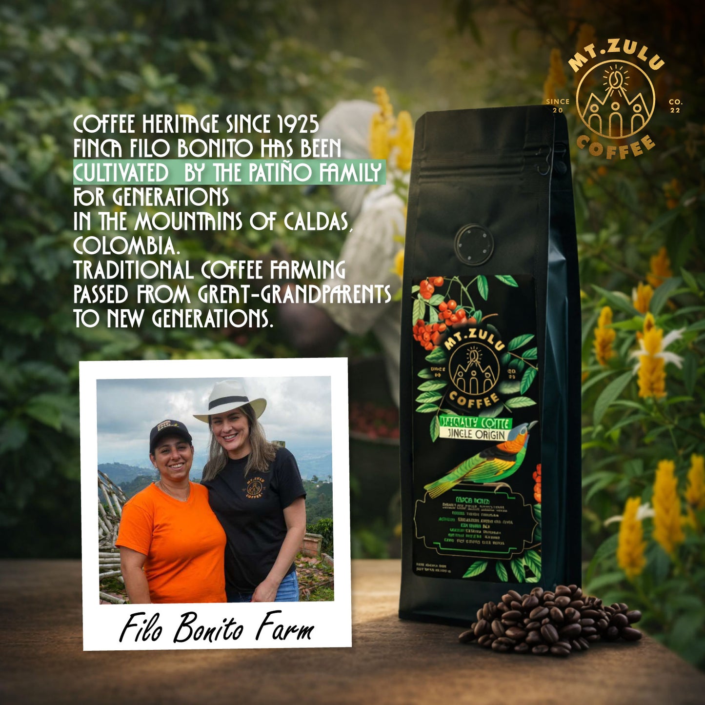 Castilla Naranjal – Single Origin Colombian Coffee | Medium Roast | Mt. Zulu Coffee