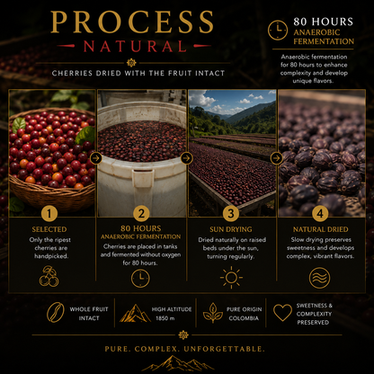 Gesha Natural | 80-Hour Anaerobic Fermentation