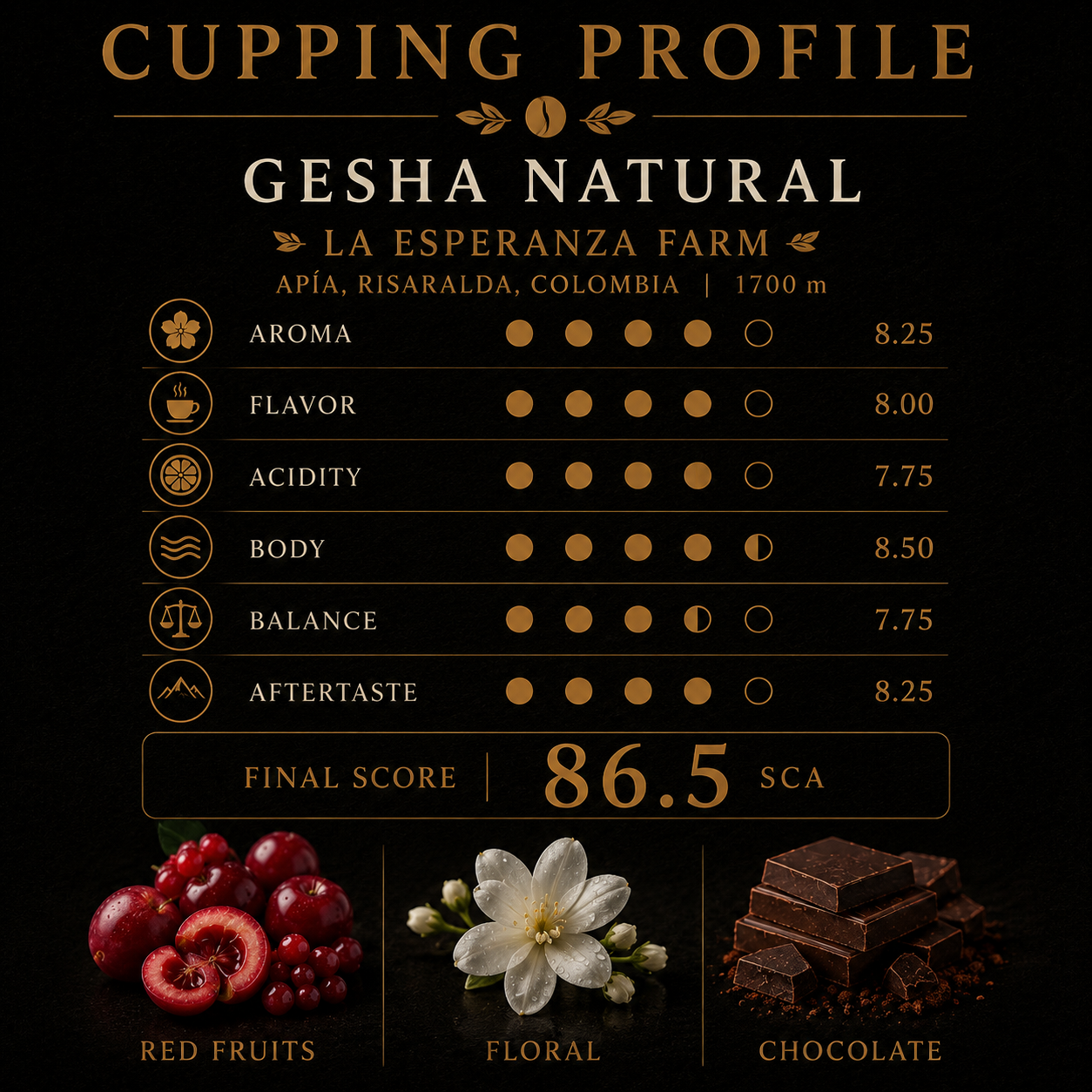 Gesha Natural | 80-Hour Anaerobic Fermentation