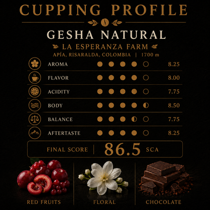 Gesha Natural | 80-Hour Anaerobic Fermentation