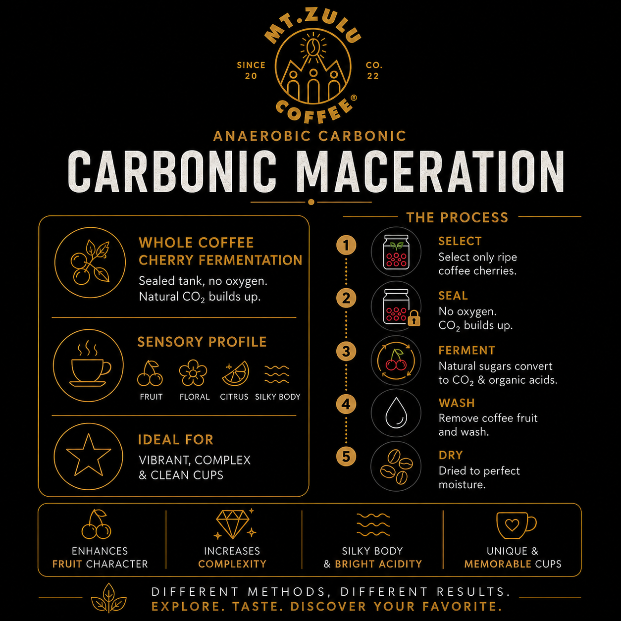 Maceración carbónica Gesha: granos enteros