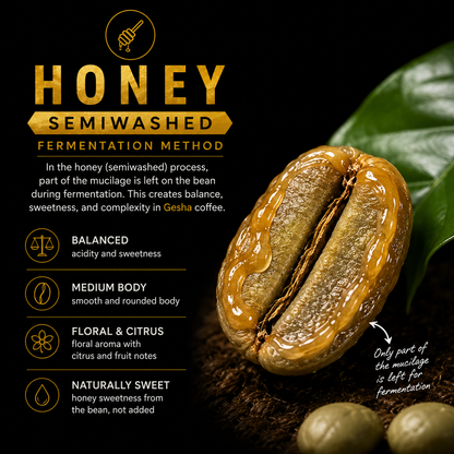 Gesha Semi-Washed (Honey Process) - Whole Beans